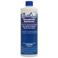Water Techniques Phosphate Remover 1 qt. F059001012PC